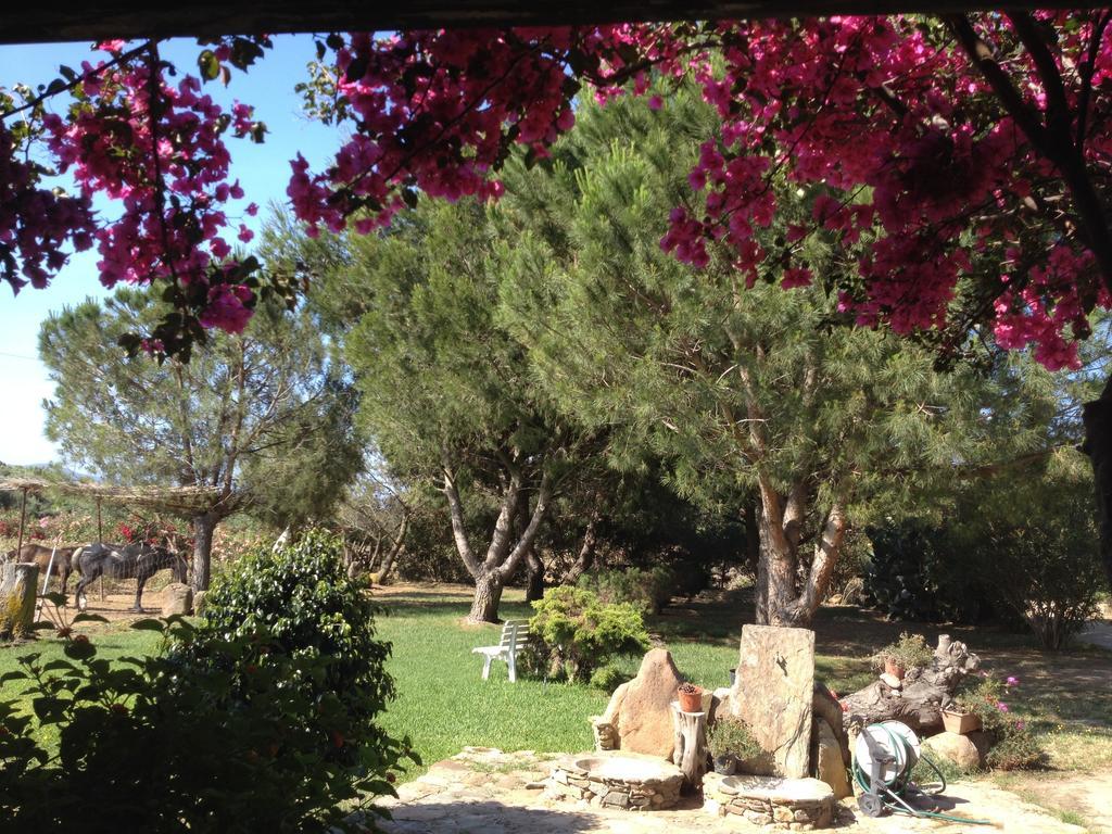 SantʼAnna Arresi Il Ruscelloヴィラ 部屋 写真